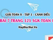 Giải bài 7 trang 121 Toán 8 Tập 1 SGK Cánh Diều